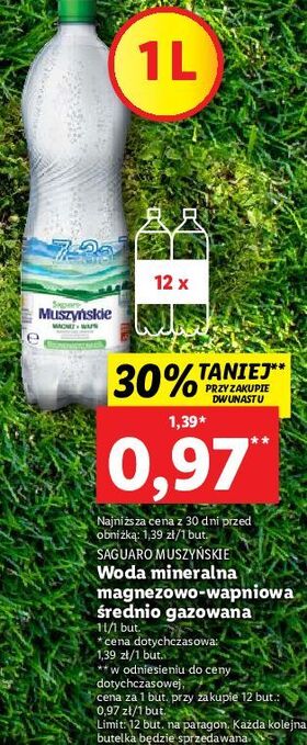 Lidl Woda śrenio gazowana saguaro muszyńskie oferta