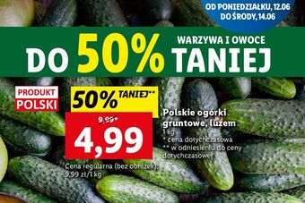 Lidl Ogórki gruntowe oferta