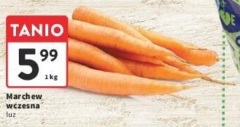 Intermarche Marchew wczesna luz 1 kg oferta