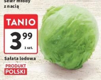 Intermarche Sałata lodowa 1 szt. oferta