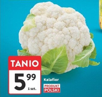 Intermarche Kalafior 1 szt. oferta