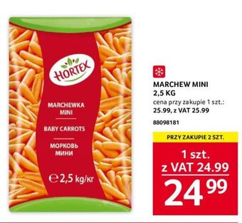 Selgros MARCHEW MINI 2,5 KG oferta