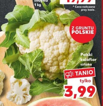 Kaufland Polski kalafior sztuka oferta