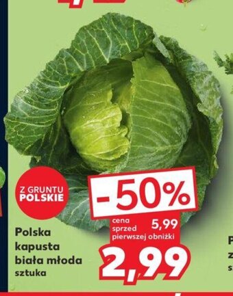 Kaufland Polska kapusta biała młoda oferta
