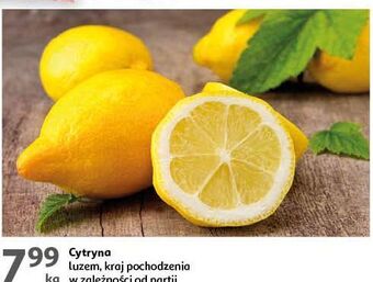 Auchan Cytryny oferta