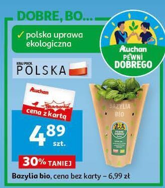 Auchan Bazylia bio auchan pewni dobrego oferta
