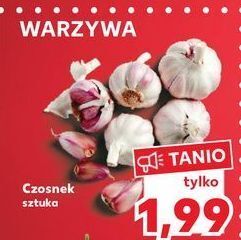 Kaufland Czosnek oferta