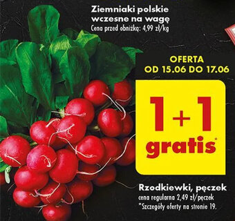 Biedronka Rzodkiewki, pęczek oferta