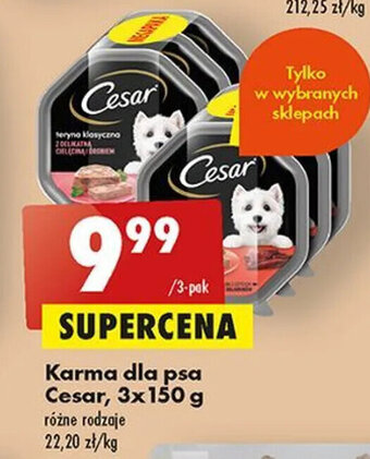 Biedronka Karma dla psa Cesar, 3x 150 g oferta