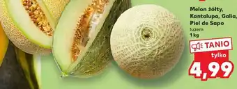 Kaufland Melon kantalupa 1 KG oferta