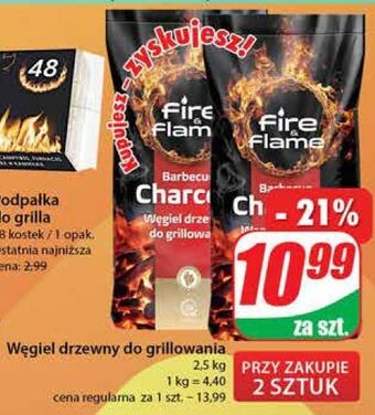 Dino Węgiel drzewny fire & flame oferta