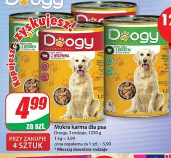 Dino Karma dla psa z wołowiną doogy oferta