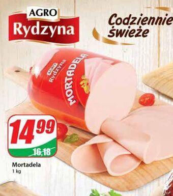 Dino Mortadela agro rydzyna oferta