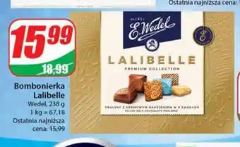 Dino Bombonierka e. wedel lalibelle oferta
