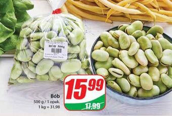 Dino Bób oferta