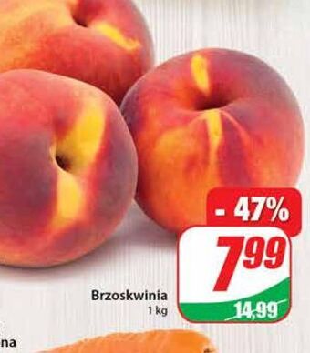 Dino Brzoskwinie oferta