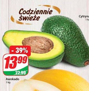 Dino Awokado oferta