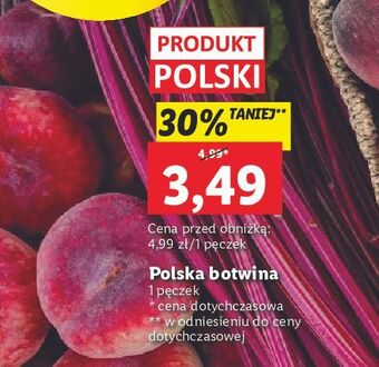 Lidl Botwinka oferta