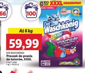 Lidl Proszek do prania color der waschkonig oferta