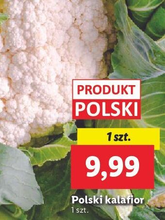 Lidl Kalafior oferta