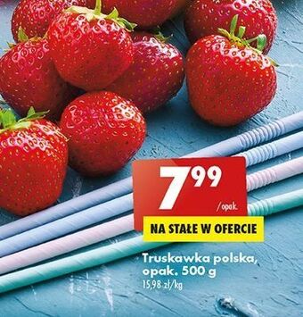 Biedronka Truskawki oferta