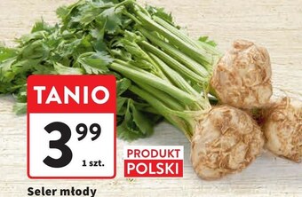 Intermarche Seler oferta