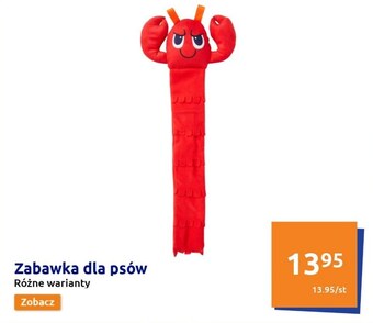 Action Zabawka dla psa oferta