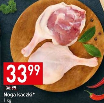 Stokrotka Noga z kaczki oferta