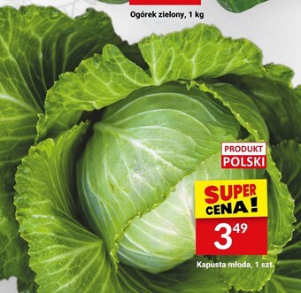 Twój Market Kapusta młoda oferta
