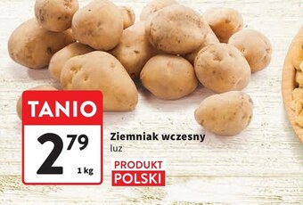 Intermarche Ziemniaki oferta