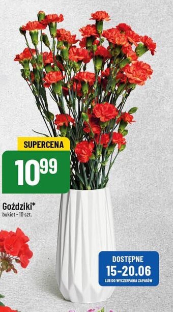 Polomarket Goździki bukiet - 10 szt. oferta