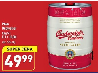 ALDI Piwo Budweiser 5l oferta