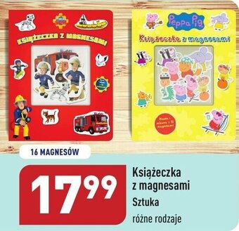 ALDI Książeczka z magnesami oferta