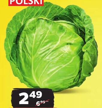 Netto Kapusta oferta