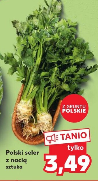 Kaufland Seler naciowy oferta