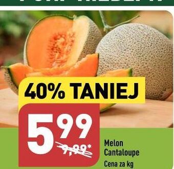 ALDI Melon cantaloupe oferta