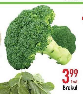 E.Leclerc Brokuł oferta