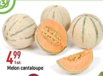 E.Leclerc Melon cantaloupe oferta