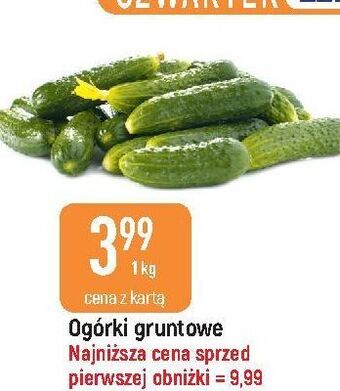 E.Leclerc Ogórki gruntowe oferta