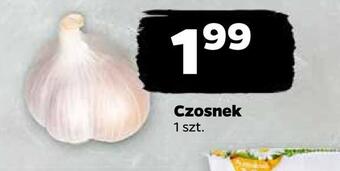 Netto Czosnek oferta