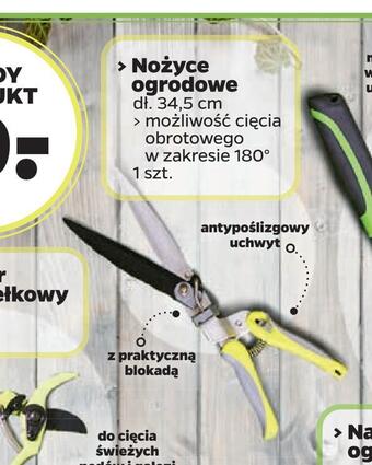 Netto Nożyce ogrodowe oferta
