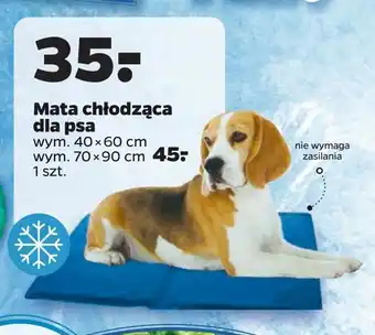 Netto Mata chłodząca dla psa oferta