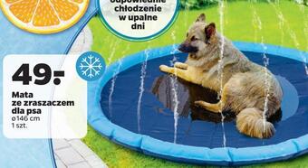 Mata ze zraszaczem dla psa