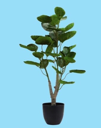 JYSK Sztuczna roślina oferta