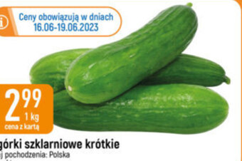 E.Leclerc Ogórki oferta