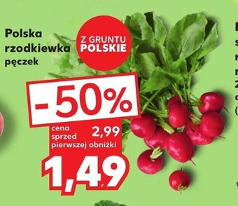 Kaufland Polska rzodkiewka pęczek oferta