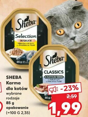 Kaufland SHEBA Karma dla kotów oferta