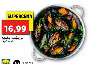 Lidl Mule świeże oferta