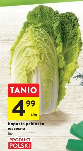 Intermarche Kapusta pekińska wczesna, 1 szt. oferta