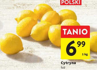 Intermarche Cytryna luz 1 kg oferta